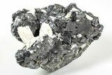 Fluorescent Calcite and Quartz on Sphalerite (Marmatite) - Peru #238941-2